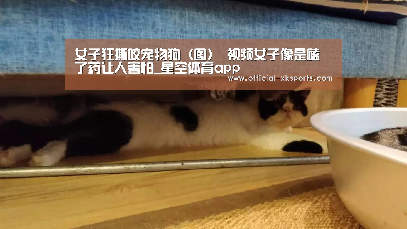 女子狂撕咬宠物狗(图) 视频女子像是磕了药让人害怕_星空体育app(图1) 星空体育