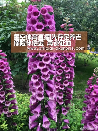 星空体育直播|先存足养老保险补偿金 再谈征地(图2) 星空体育app下载
