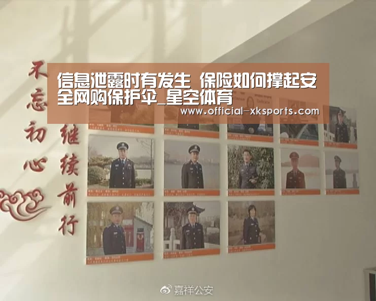 信息泄露时有发生 保险如何撑起安全网购保护伞_星空体育(图2) 星空体育app