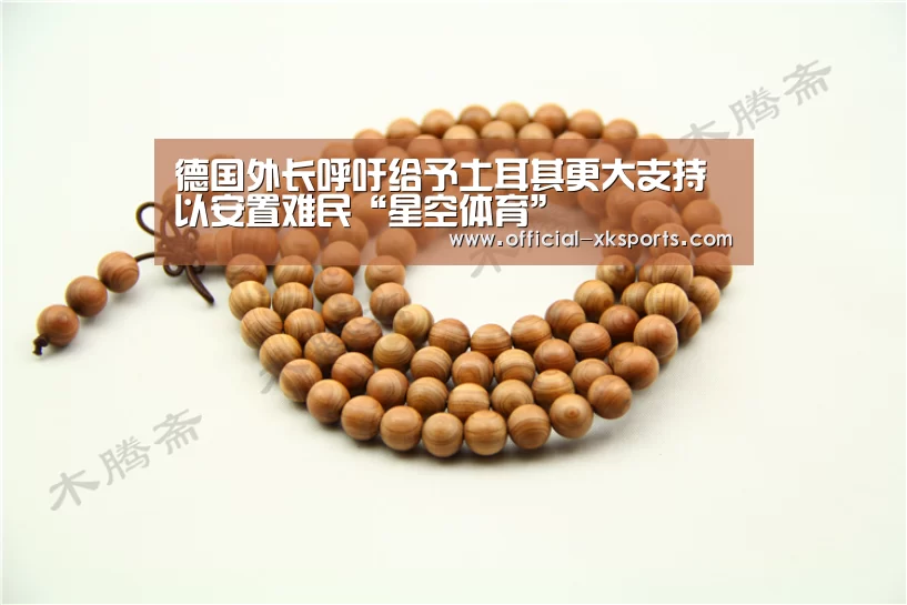 德国外长呼吁给予土耳其更大支持以安置难民“星空体育”(图2) 星空体育app