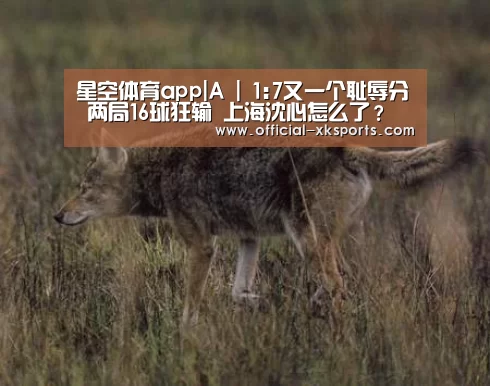 星空体育app|A | 1:7又一个耻辱分 两局16球狂输 上海沈心怎么了?(图1) 星空体育直播