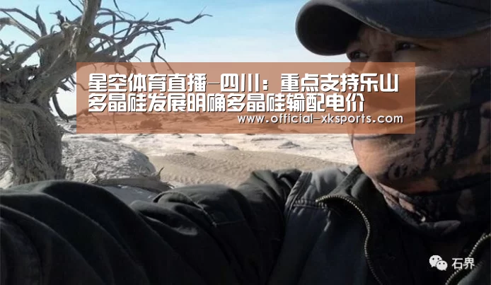 星空体育直播-四川:重点支持乐山多晶硅发展明确多晶硅输配电价(图1) 星空体育