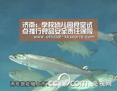 济南:学校幼儿园食堂试点推行食品安全责任保险_星空体育app(图1) 星空体育直播