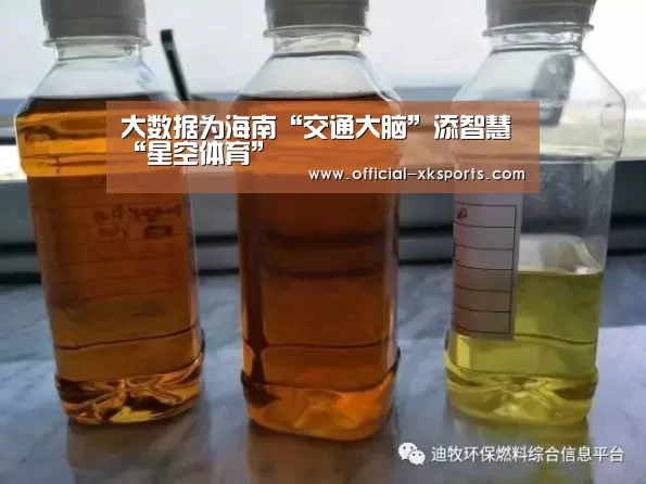 大数据为海南“交通大脑”添智慧“星空体育”(图2) 星空体育app